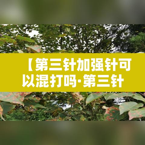 【第三针加强针可以混打吗·第三针加强针多久能打】