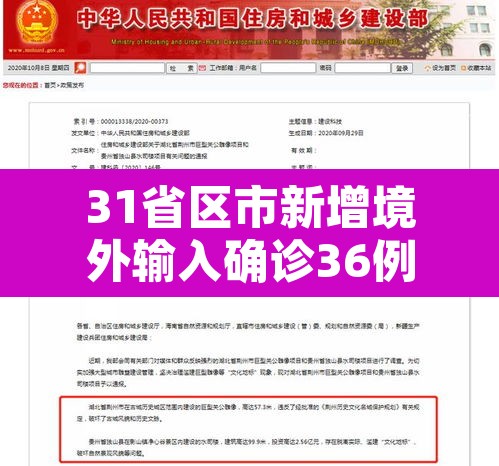 31省区市新增境外输入确诊36例：31省区市新增5例境外输入63