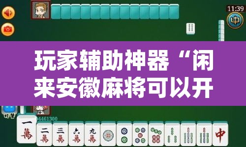 玩家辅助神器“闲来安徽麻将可以开挂吗	”(透视挂)辅助透视教程