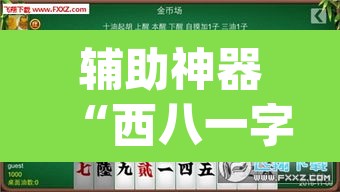 辅助神器“西八一字牌辅助神器	”(透视)其实确实有挂