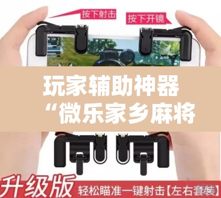 玩家辅助神器“微乐家乡麻将免费开挂”(透视挂)辅助透视教程