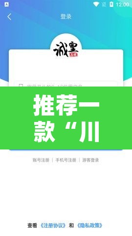 推荐一款“川渝互娱辅助”开挂辅助脚本+详细开挂安装教程