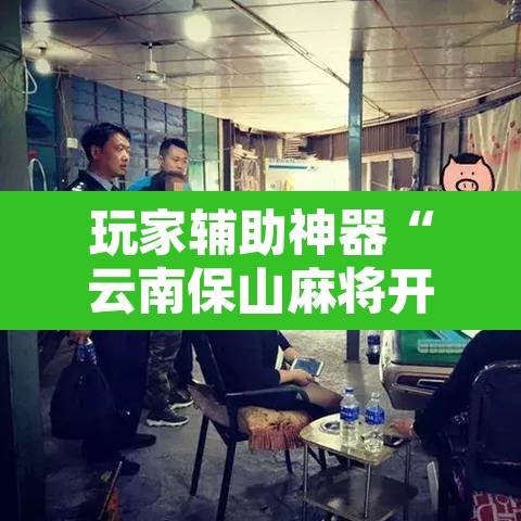 玩家辅助神器“云南保山麻将开挂神器下载”其实确实有挂