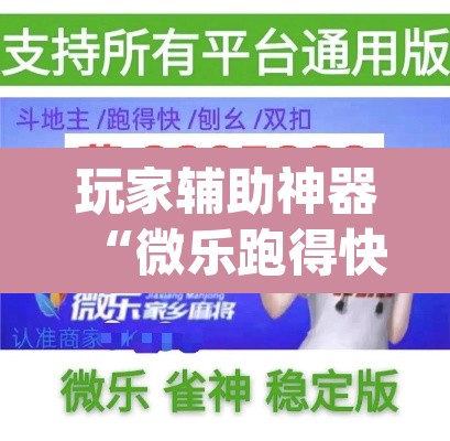 玩家辅助神器“微乐跑得快万能开挂器通用版下载”(透视)其实确实有挂