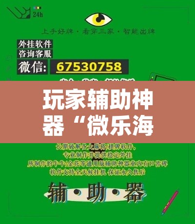 玩家辅助神器“微乐海南麻将小程序必赢神器	”其实确实有挂