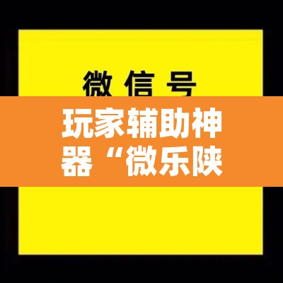 玩家辅助神器“微乐陕西三代辅助软件好用不”附辅助神器开挂脚本详细步骤