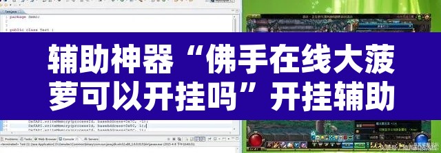 辅助神器“佛手在线大菠萝可以开挂吗	”开挂辅助脚本+详细开挂安装教程