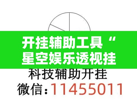 开挂辅助工具“星空娱乐透视挂教程”附辅助神器开挂脚本详细步骤