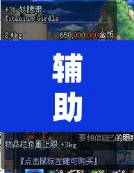 辅助神器“福建十三水哪里有卖挂”(透视)其实确实有挂