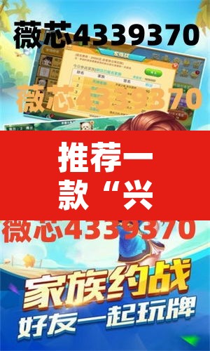 推荐一款“兴动互娱开挂辅助软件”其实确实有挂