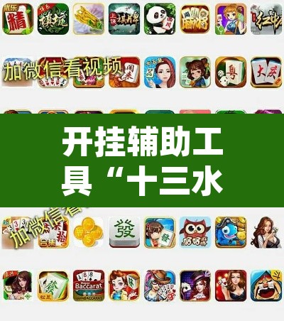 开挂辅助工具“十三水可以开挂吗”(透视挂)辅助透视教程