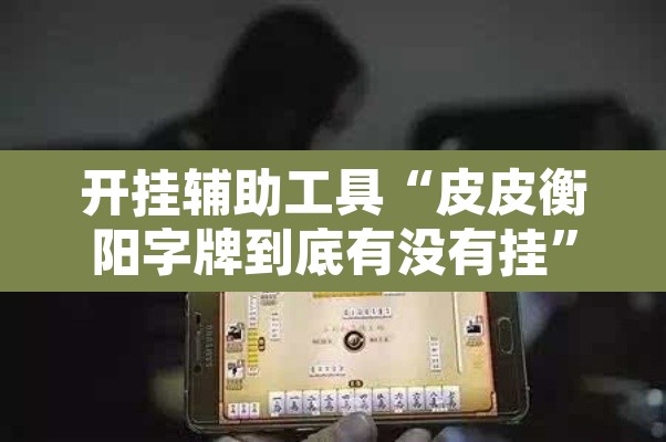 开挂辅助工具“皮皮衡阳字牌到底有没有挂”附辅助神器开挂脚本详细步骤