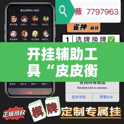 开挂辅助工具“皮皮衡阳字牌到底有没有挂”附辅助神器开挂脚本详细步骤