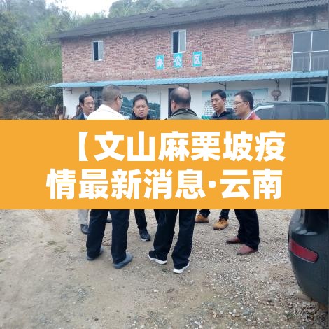 【文山麻栗坡疫情最新消息·云南文山麻栗坡最近的新闻】