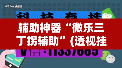 辅助神器“微乐三丁拐辅助”(透视挂)辅助透视教程