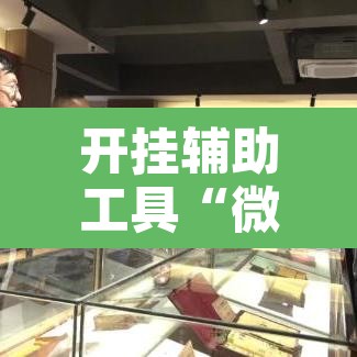 开挂辅助工具“微乐浙江麻将万能开挂”开挂辅助脚本+详细开挂安装教程