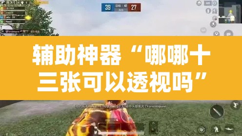 辅助神器“哪哪十三张可以透视吗”(透视)其实确实有挂