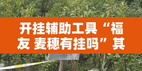 开挂辅助工具“福友 麦穗有挂吗”其实确实有挂
