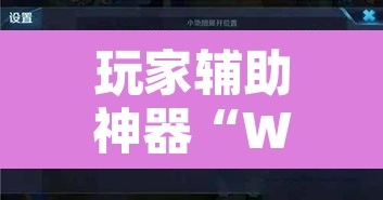 玩家辅助神器“WePoker系统辅助挂作弊器工具	”其实确实有挂