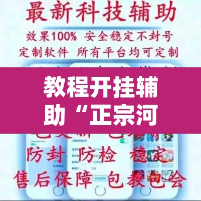 教程开挂辅助“正宗河北娱乐究竟有没有挂”(透视挂)辅助透视教程
