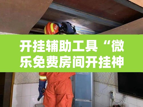 开挂辅助工具“微乐免费房间开挂神器”(透视挂)辅助透视教程