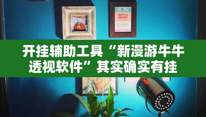 开挂辅助工具“新漫游牛牛透视软件”其实确实有挂