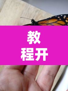 教程开挂辅助“蝴蝶大厅拼三张辅助挂”其实确实有挂