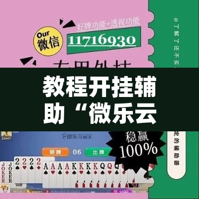 教程开挂辅助“微乐云南麻将小程序开挂免费软件”其实确实有挂