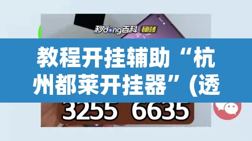 教程开挂辅助“杭州都莱开挂器”(透视挂)辅助透视教程