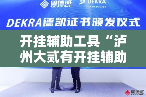 开挂辅助工具“泸州大贰有开挂辅助吗	”附辅助神器开挂脚本详细步骤