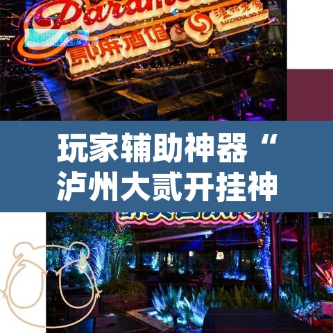 玩家辅助神器“泸州大贰开挂神器	”(透视)其实确实有挂