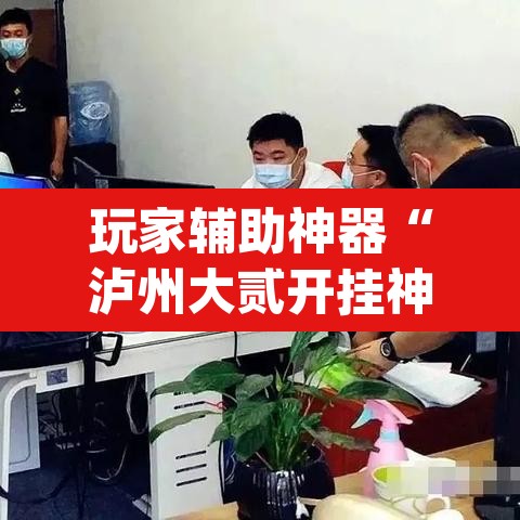 玩家辅助神器“泸州大贰开挂神器”(透视)其实确实有挂