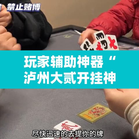 玩家辅助神器“泸州大贰开挂神器”(透视)其实确实有挂