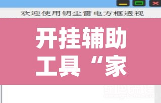 开挂辅助工具“家乡大二辅助软件”(透视挂)辅助透视教程