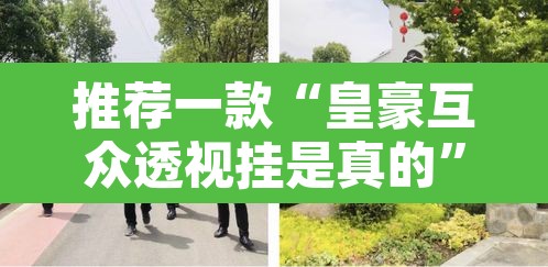 推荐一款“皇豪互众透视挂是真的	”其实确实有挂