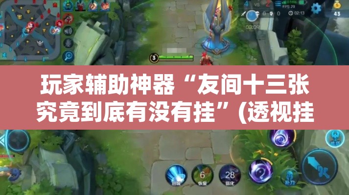 玩家辅助神器“友间十三张究竟到底有没有挂”(透视挂)辅助透视教程