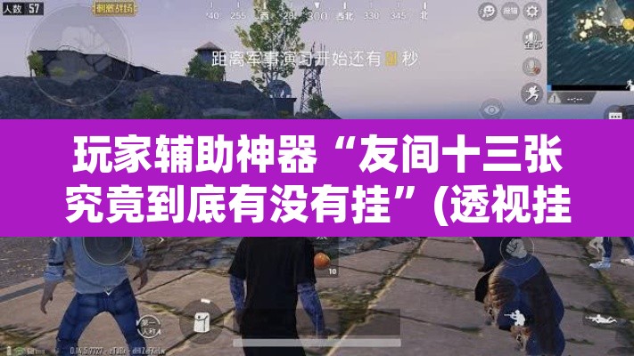 玩家辅助神器“友间十三张究竟到底有没有挂	”(透视挂)辅助透视教程