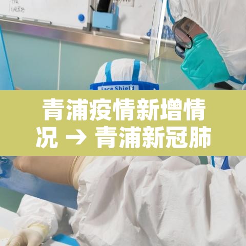 青浦疫情新增情况 → 青浦新冠肺炎最新消息