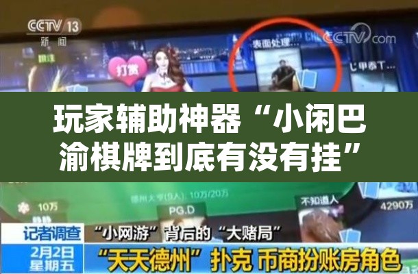 玩家辅助神器“小闲巴渝棋牌到底有没有挂”(透视挂)辅助透视教程