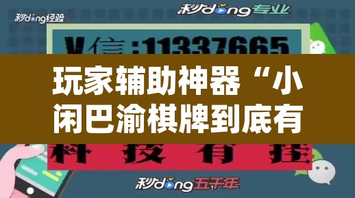玩家辅助神器“小闲巴渝棋牌到底有没有挂”(透视挂)辅助透视教程