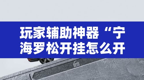 玩家辅助神器“宁海罗松开挂怎么开”其实确实有挂