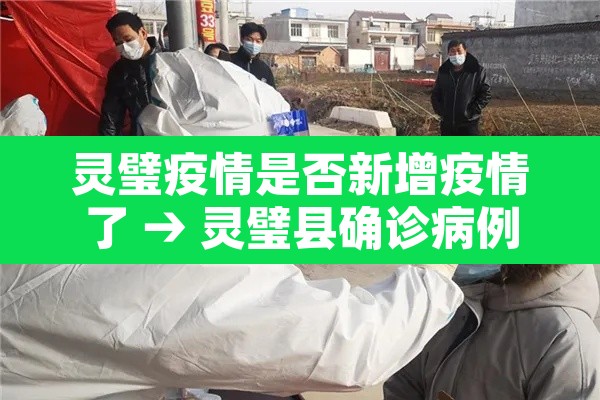 灵璧疫情是否新增疫情了 → 灵璧县确诊病例