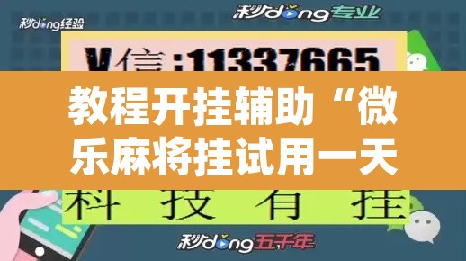 教程开挂辅助“微乐麻将挂试用一天	”(透视挂)辅助透视教程