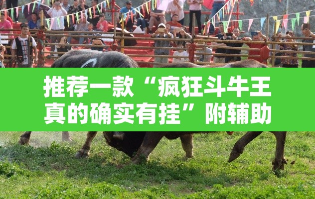 推荐一款“疯狂斗牛王真的确实有挂”附辅助神器开挂脚本详细步骤