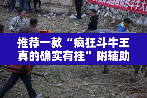 推荐一款“疯狂斗牛王真的确实有挂”附辅助神器开挂脚本详细步骤