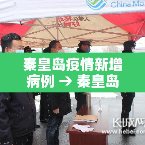 秦皇岛疫情新增病例 → 秦皇岛疫情最新数据消息新增