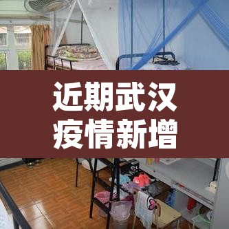 近期武汉疫情新增›武汉最近新冠肺炎疫情
