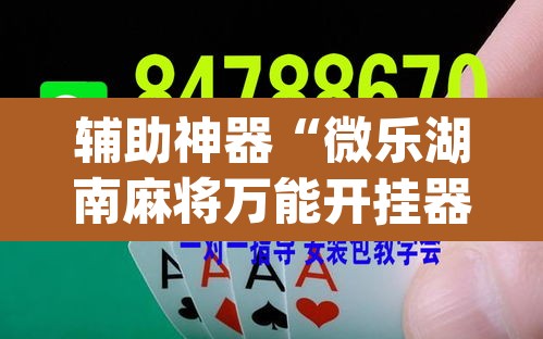 辅助神器“微乐湖南麻将万能开挂器免费	”(透视)其实确实有挂
