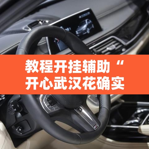 教程开挂辅助“开心武汉花确实真的有挂”其实确实有挂