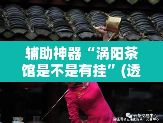 辅助神器“涡阳茶馆是不是有挂”(透视)其实确实有挂